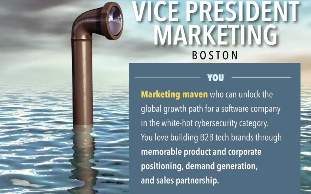 VP of Marketing, Boston – Infographic