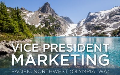 VP of Marketing, Pacific Northwest – Infographic