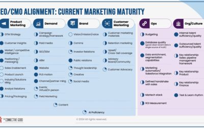 CEO/CMO Alignment: A framework for you to check out